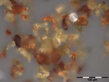 Oil Analysis Results Abrasives