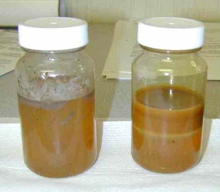 Oil Analysis Visual Check for Water