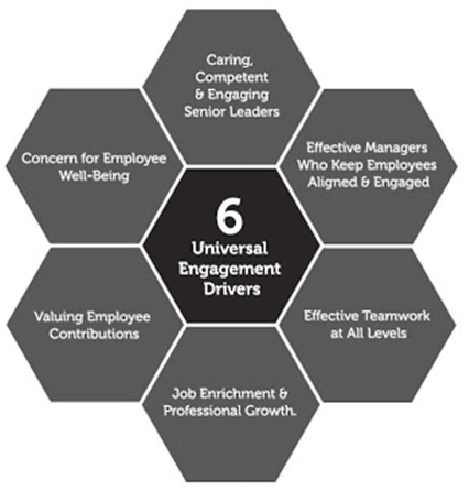 6 Employee Engagement Drivers